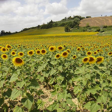 Tenuta Di Colle Alberti Agriturismo Willa Cerreto Guidi Zewnętrze zdjęcie