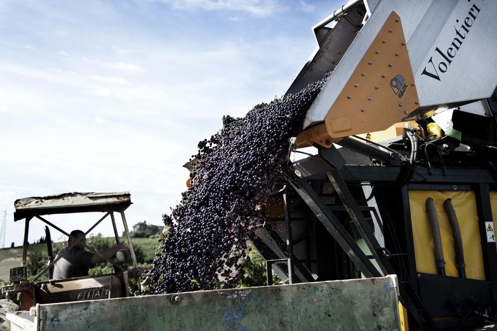 Tenuta Di Colle Alberti Agriturismo Willa Cerreto Guidi Zewnętrze zdjęcie