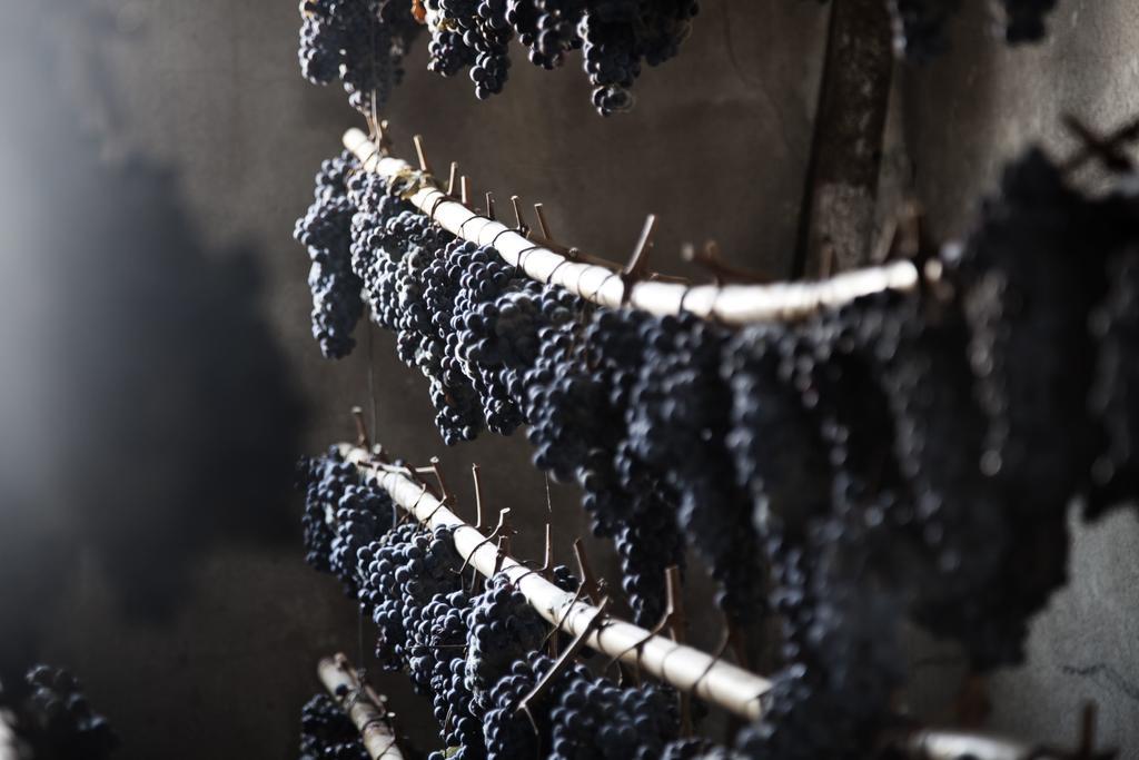 Tenuta Di Colle Alberti Agriturismo Willa Cerreto Guidi Zewnętrze zdjęcie