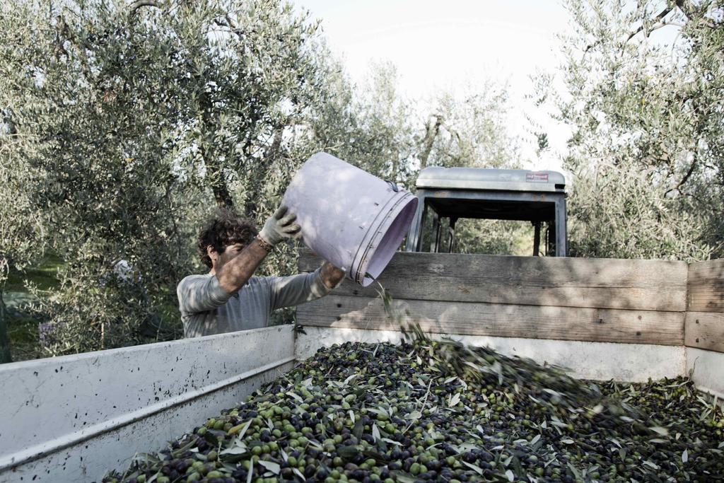Tenuta Di Colle Alberti Agriturismo Willa Cerreto Guidi Zewnętrze zdjęcie