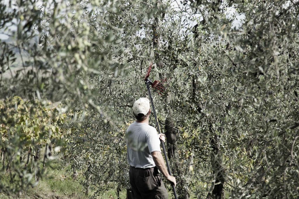 Tenuta Di Colle Alberti Agriturismo Willa Cerreto Guidi Zewnętrze zdjęcie