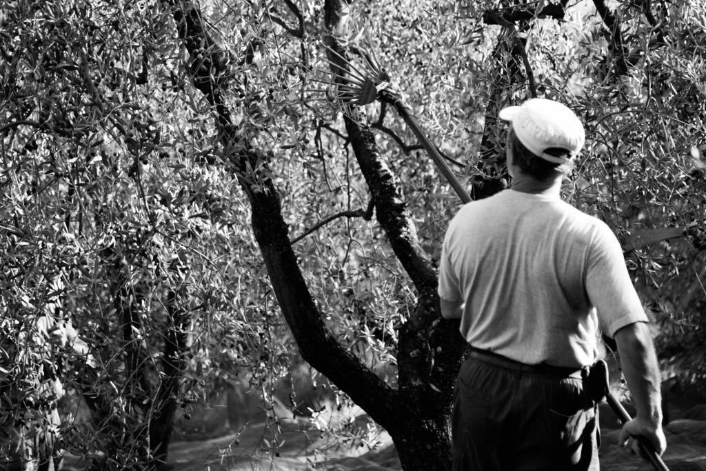 Tenuta Di Colle Alberti Agriturismo Willa Cerreto Guidi Zewnętrze zdjęcie
