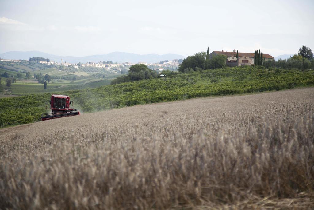 Tenuta Di Colle Alberti Agriturismo Willa Cerreto Guidi Zewnętrze zdjęcie