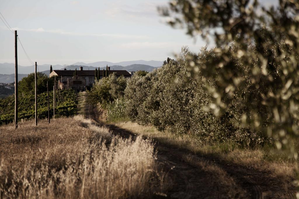Tenuta Di Colle Alberti Agriturismo Willa Cerreto Guidi Zewnętrze zdjęcie