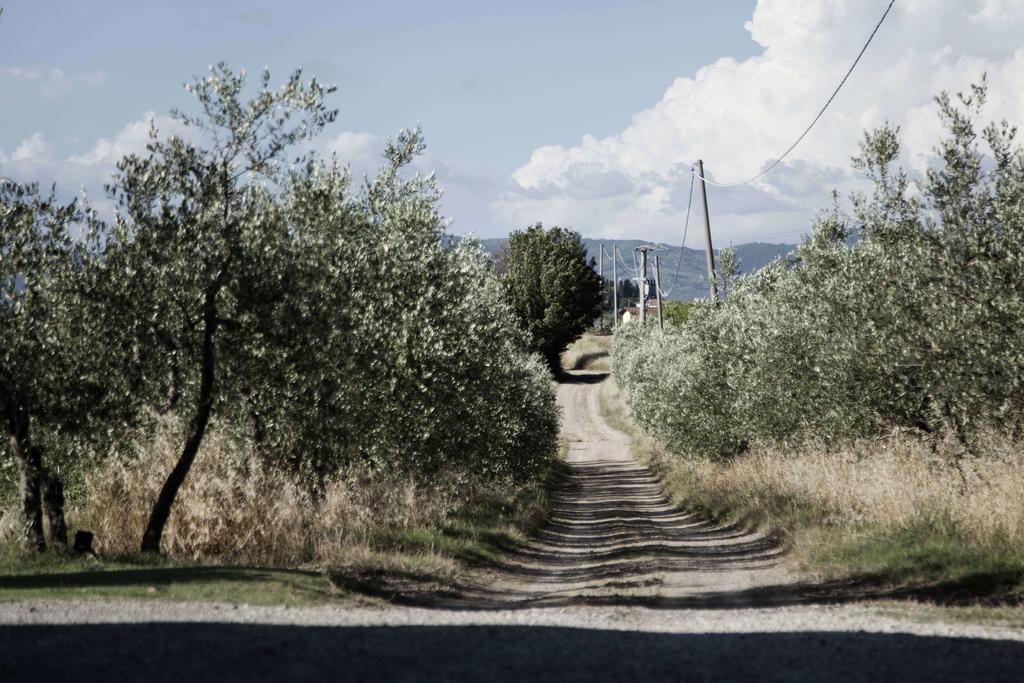 Tenuta Di Colle Alberti Agriturismo Willa Cerreto Guidi Zewnętrze zdjęcie