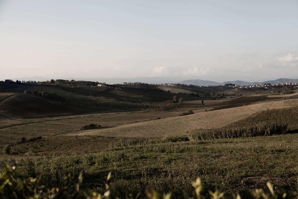 Tenuta Di Colle Alberti Agriturismo Willa Cerreto Guidi Zewnętrze zdjęcie