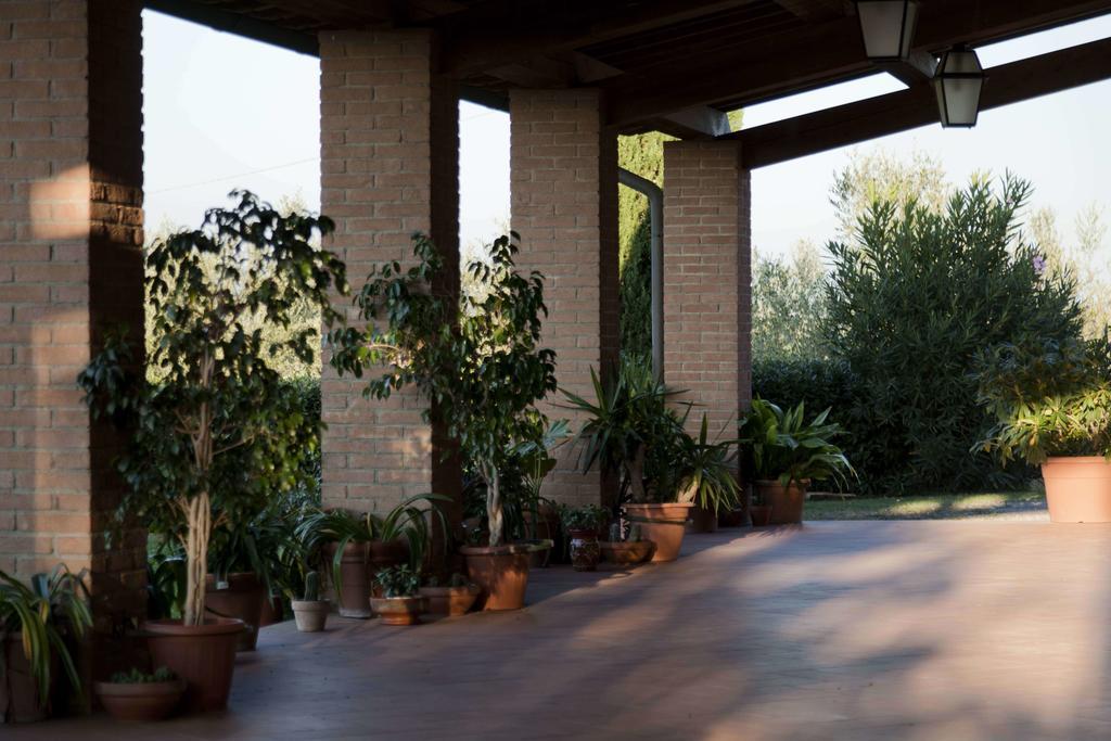 Tenuta Di Colle Alberti Agriturismo Willa Cerreto Guidi Zewnętrze zdjęcie